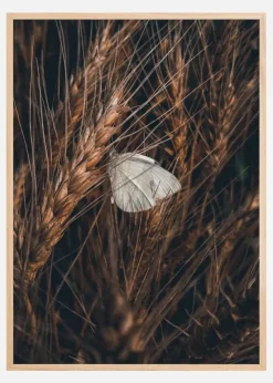 White Butterfly Plakat (21x29.7 cm (A4))