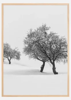 White carpet II Plakat (21x29.7 cm (A4))