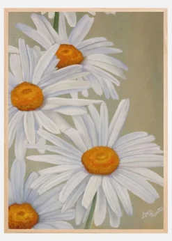 White Daisies Plakat (21x29.7 cm (A4))