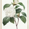 White Rose Plakat (21x29.7 cm (A4))