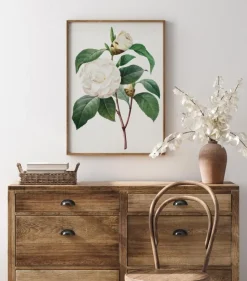 White Rose Plakat (21x29.7 cm (A4))