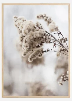 Winter Is Coming Plakat (21x29.7 cm (A4))