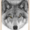 Yellow eyes Timber Wolf Plakat (21x29.7 cm (A4))