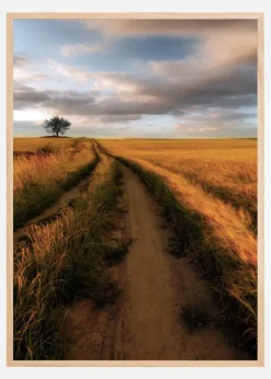 Yellow Plakat (21x29.7 cm (A4))