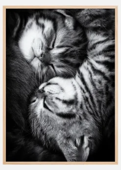 Yin And Yang Plakat (21x29.7 cm (A4))