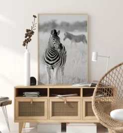 Zebra Bw Plakat (21x29.7 cm (A4))