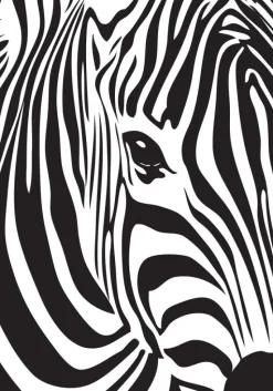 Zebra Plakat (21x29.7 cm (A4))